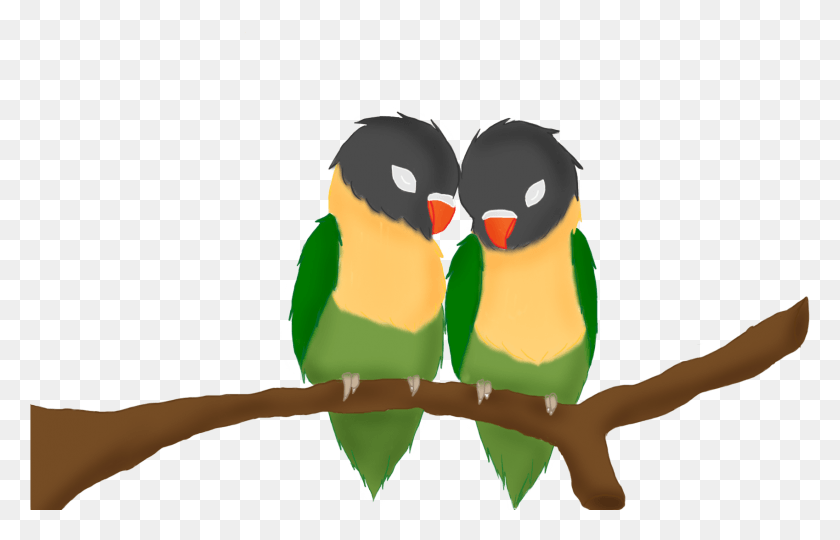 1698x1047 Yellow Collared Lovebird Drawing Birds Of Love, Bird, Animal, Person HD PNG Download