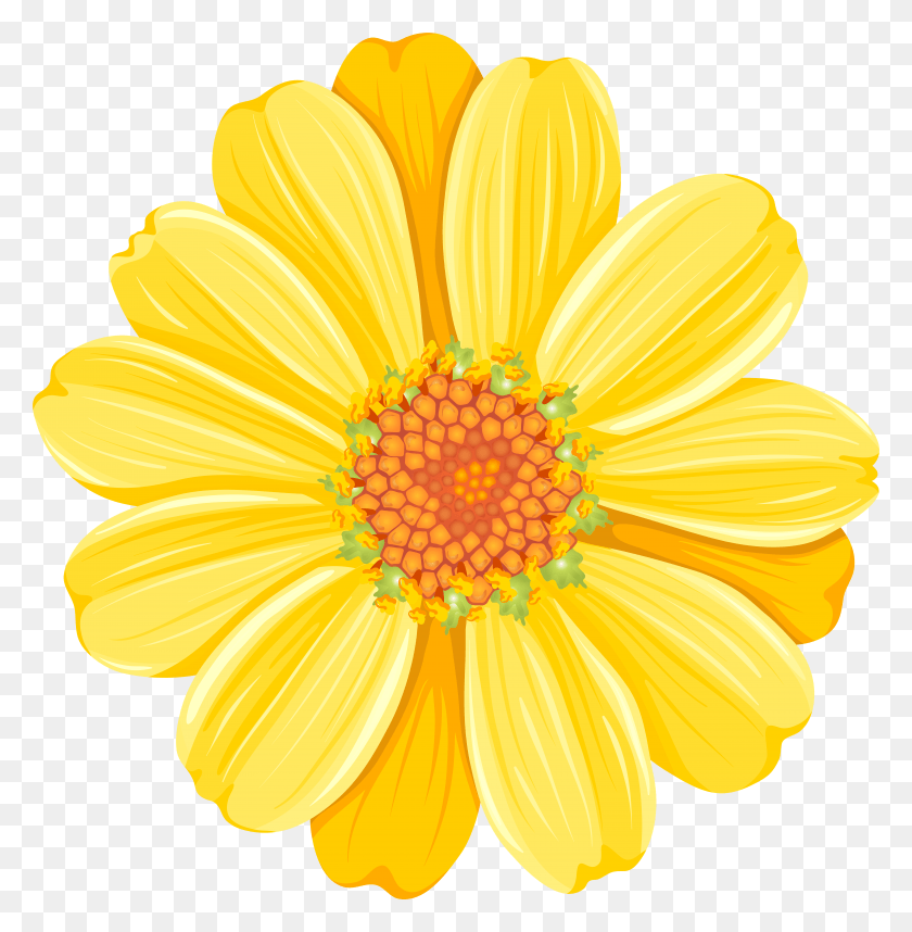 7761x7945 Yellow Daisy Transparent Clip Art Image HD PNG Download
