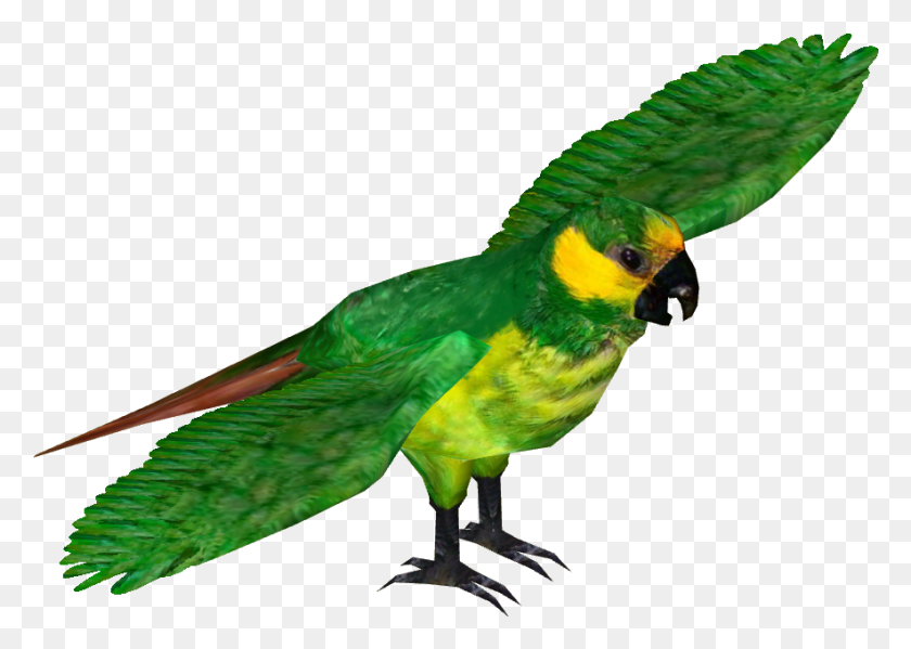 885x612 Yellow Eared Parrot Macaw, Bird, Animal, Parakeet HD PNG Download