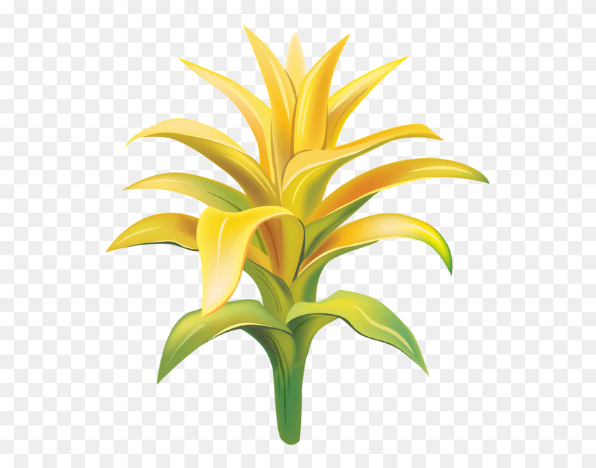 549x600 Желтый Экзотический Цветок Прозрачный Клипарт Изображение Желтый Тропический Цветок, Растение, Цветение Hd Png Скачать