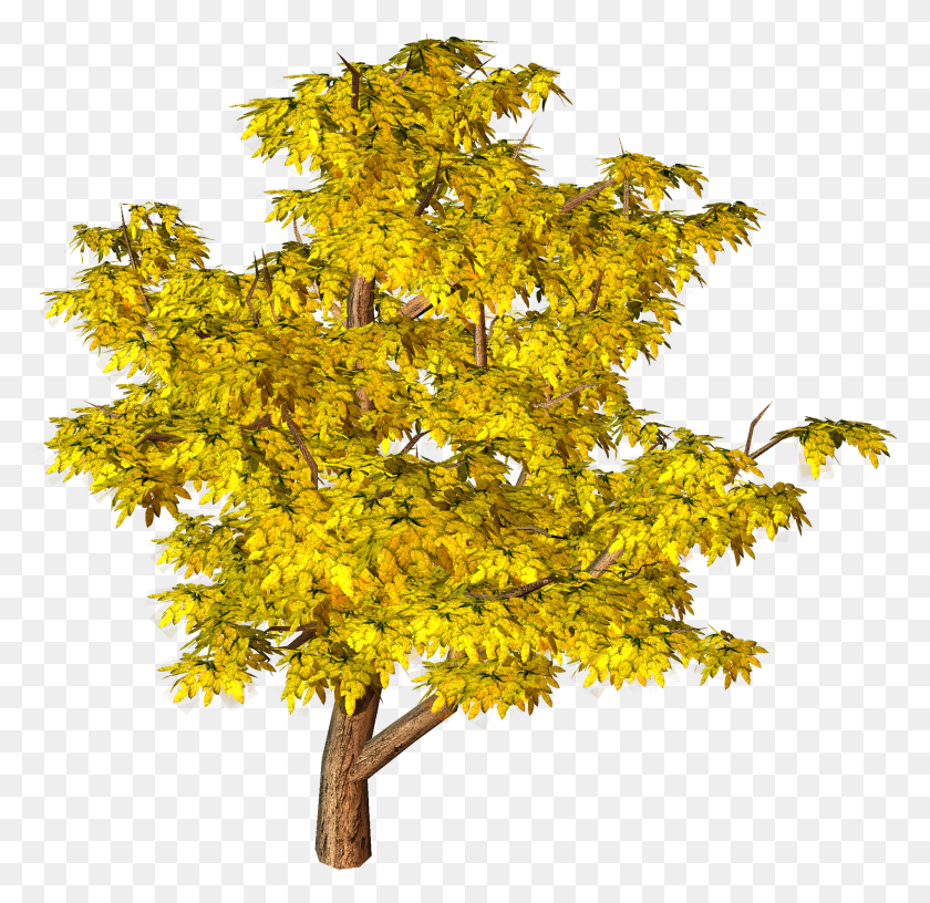 2000x1941 Yellow Fall Tree Clipart Pine For Architecture HD PNG Download