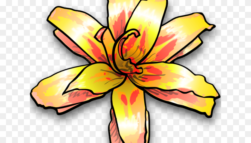 640x480 Yellow Flower Clipart, Lily, Plant, Person, Petal Transparent PNG