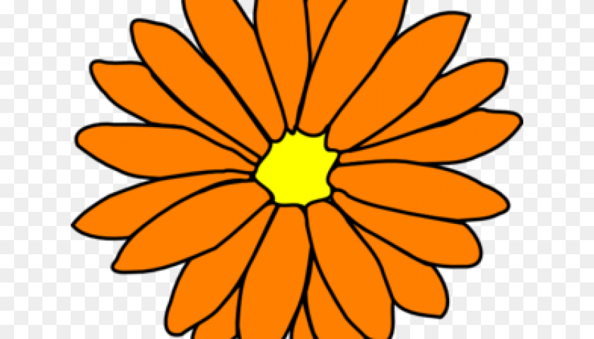 640x480 Yellow Flower Big Flower, Daisy, Petal, Plant, Animal Clipart PNG
