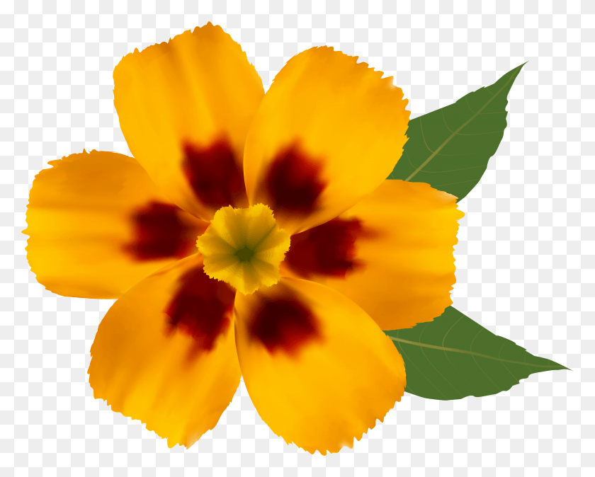 5954x4694 Желтый Цветок Клипарт Изображение Желтый Цветок Клипарт Прозрачное, Растение, Лепесток, Цветок Hd Png Скачать