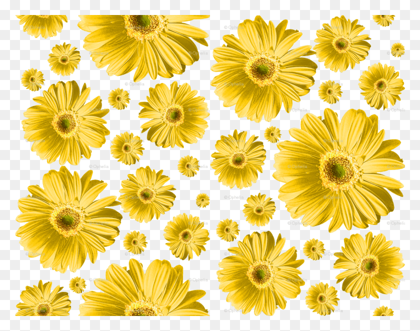 1100x850 Yellow Flower Clipart Yellow Daisy Green Daisies, Plant, Flower, Blossom HD PNG Download