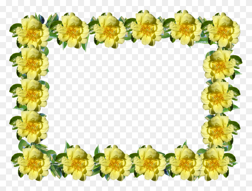 948x699 Yellow Flower Frame Rose, Plant, Flower, Blossom HD PNG Download