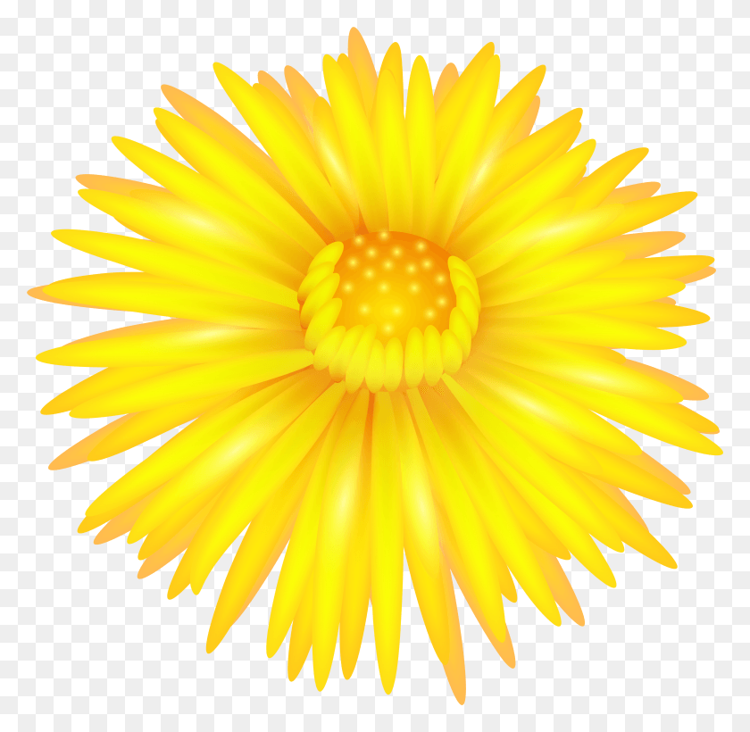 5891x5747 Yellow Flower Transparent Clip Art Yellow Daisy Flower HD PNG Download