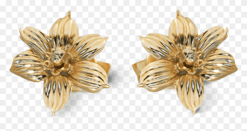 791x392 Yellow Gold Bermudiana Flower Earrings Earrings, Jewelry, Accessories, Accessory HD PNG Download