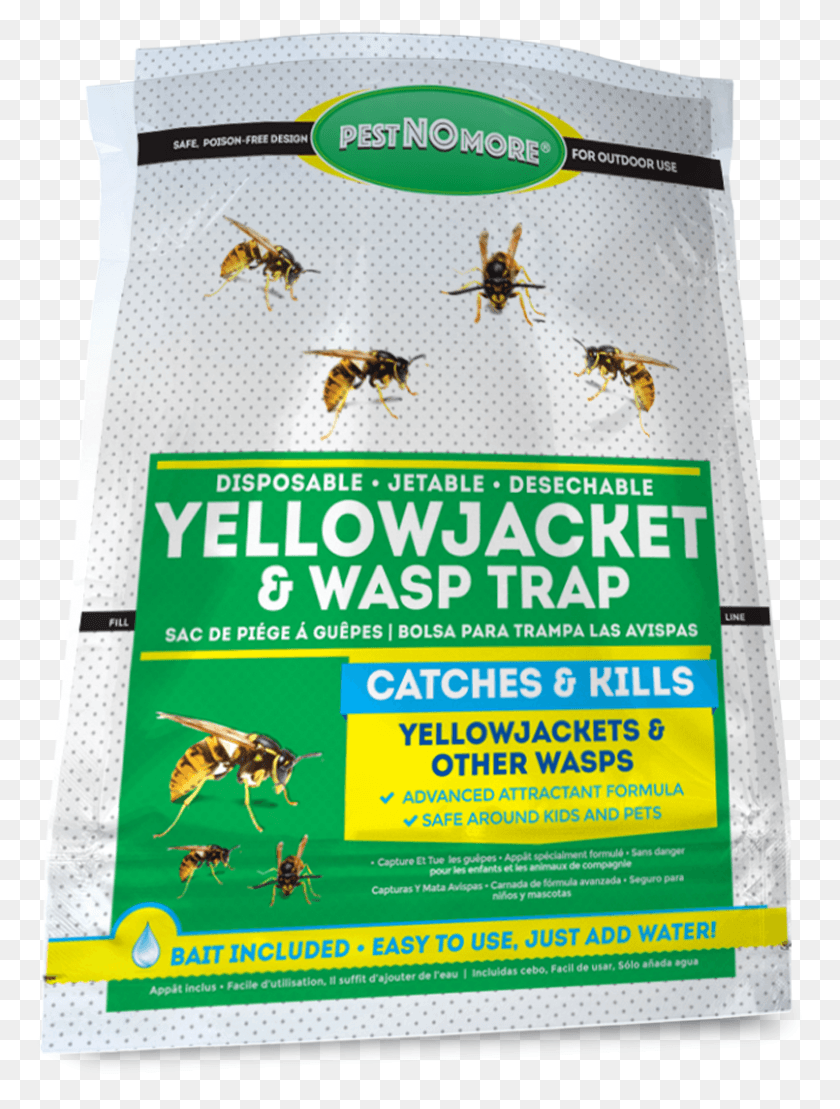 805x1083 Yellow Jacket Disposable Big Bag Trap Flyer, Poster, Paper, Advertisement HD PNG Download