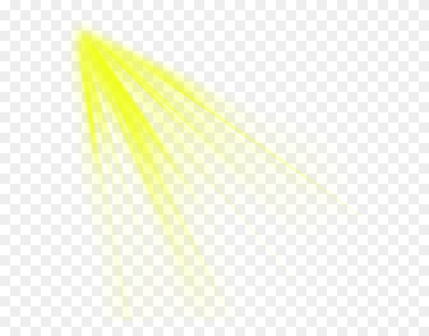 591x598 Yellow Light Effect Pics Yellow Light Effect Photoshop, Clothing, Apparel, Animal HD PNG Download