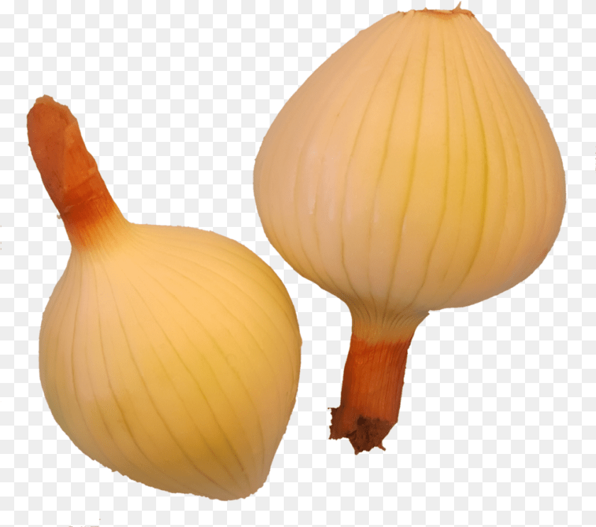 Yellow Onion, Food, Lamp, Produce, Plant Transparent PNG