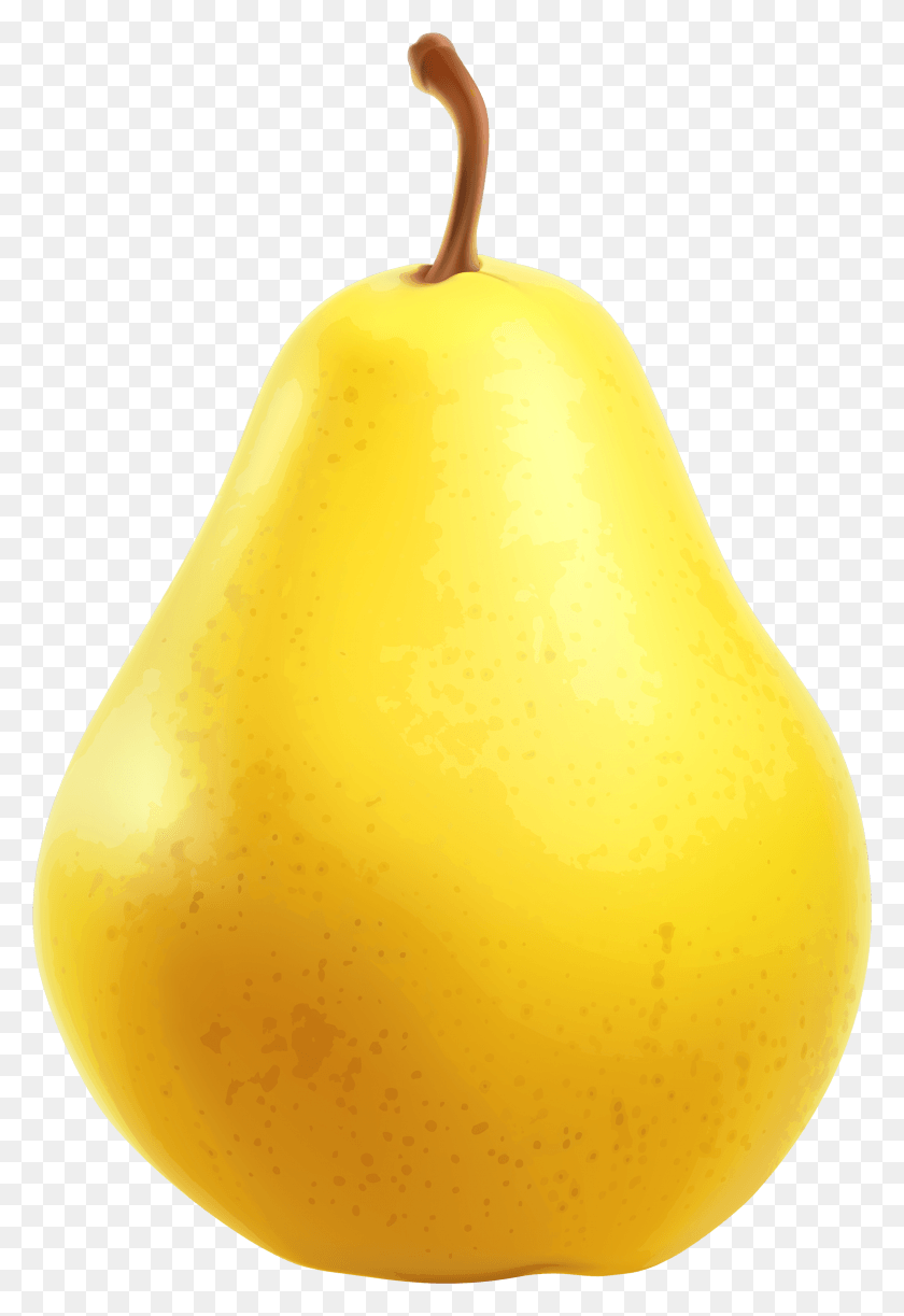 1977x2949 Yellow Pear Clipart Yellow Pear, Plant, Fruit, Food HD PNG Download