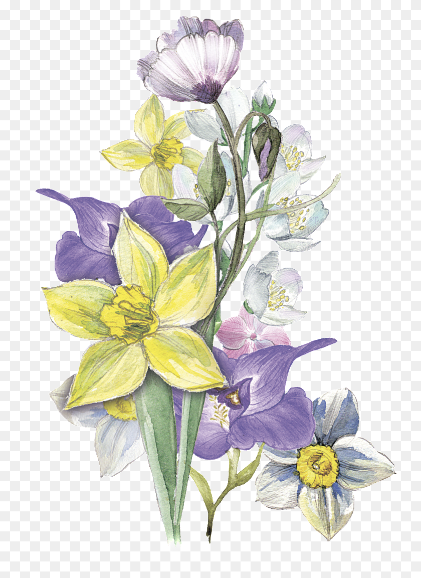 747x1093 Yellow Purple Flower Cluster Transparent Decorative Watercolor Painting, Plant, Flower, Blossom HD PNG Download