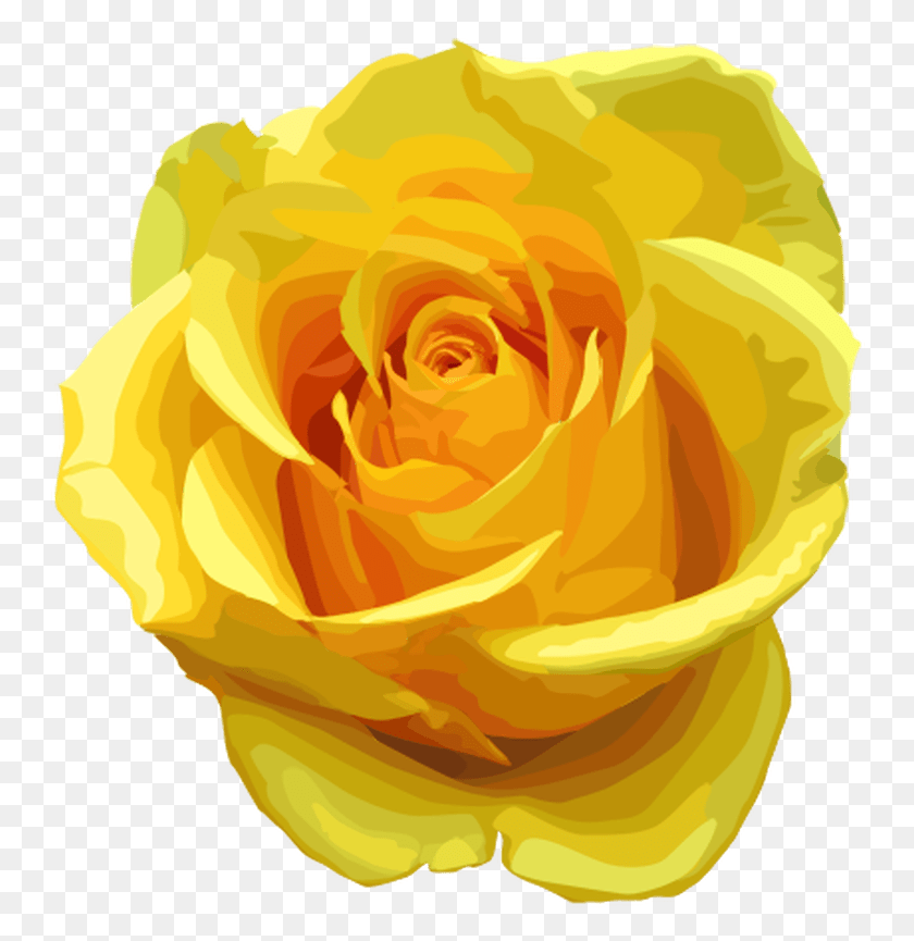 750x805 Желтая Роза Клипарт Черно-Белая Желтая Роза Прозрачный Фон, Роза, Цветок, Растение Hd Png Скачать