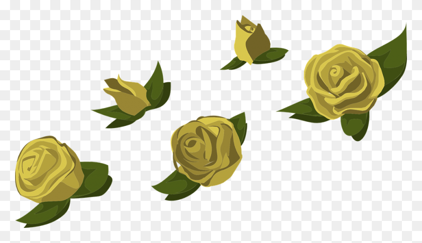 960x522 Yellow Rose Flower Free Transparent Images Free Canh Hoa Hong Vector, Rose, Plant, Blossom HD PNG Download