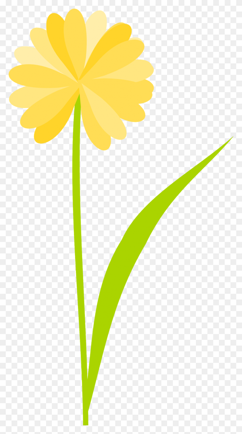 862x1600 Yellow Scrap Flower No Gold Paper Flower Clipart Transparent Background, Plant, Blossom, Daisy HD PNG Download