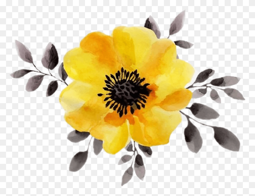 1024x770 Yellow Sticker Yellow Watercolor Flowers, Plant, Graphics Descargar Hd Png