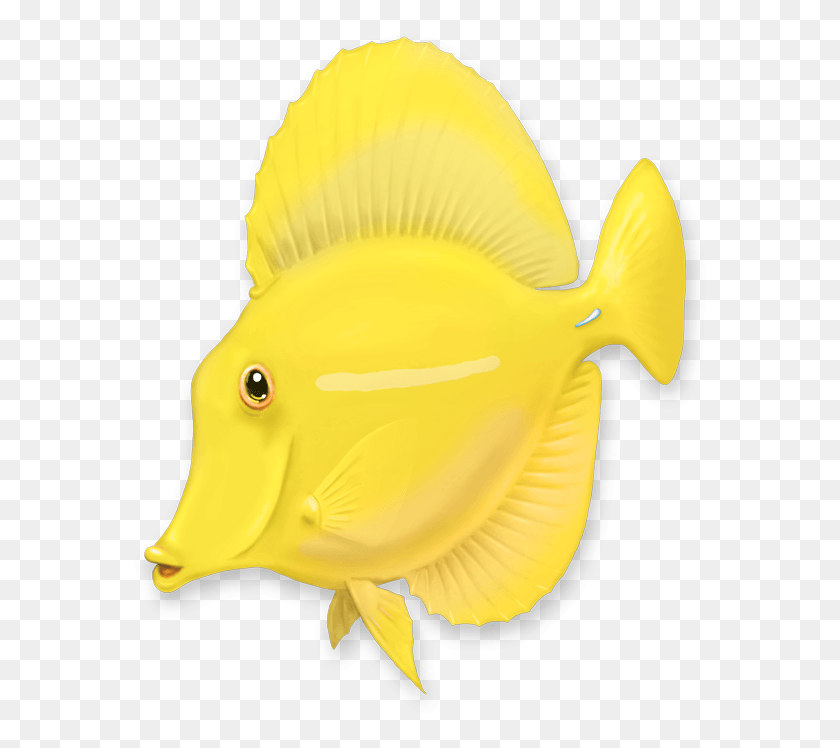 579x688 Yellow Tang Coral Reef Fish, Animal, Surgeonfish, Sea Life HD PNG Download