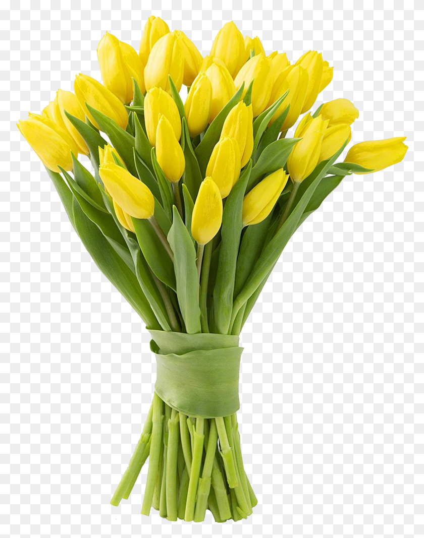 1091x1409 Желтые Тюльпаны, Растение, Цветок, Цветение Hd Png Скачать