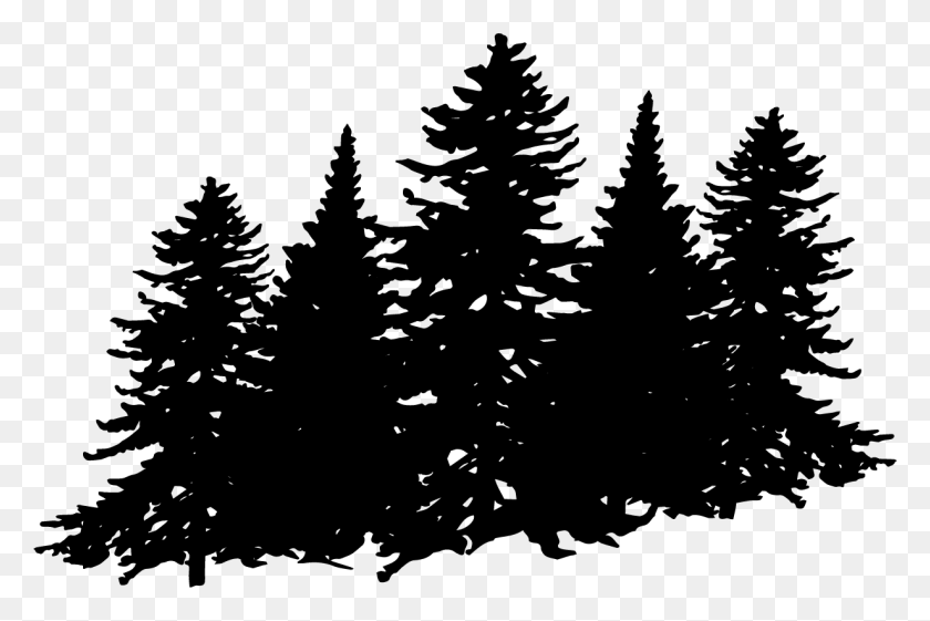 1231x792 Yes Christmas Tree, Gray, World Of Warcraft HD PNG Download