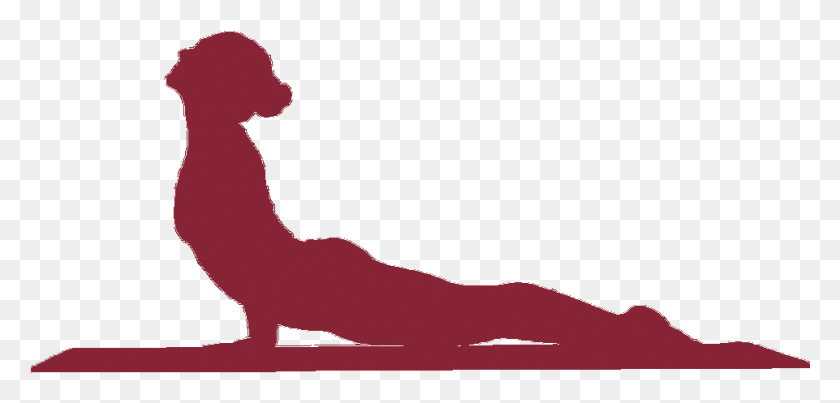 961x423 Yoga Figure Icon Yoga Asanas Black And White, Gecko, Lizard, Reptile HD PNG Download