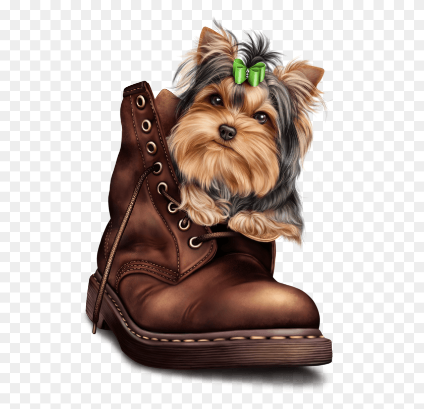 521x751 Yorkie Clipart Yorkie Dog Yorkshire Terrier, Clothing, Apparel, Footwear HD PNG Download