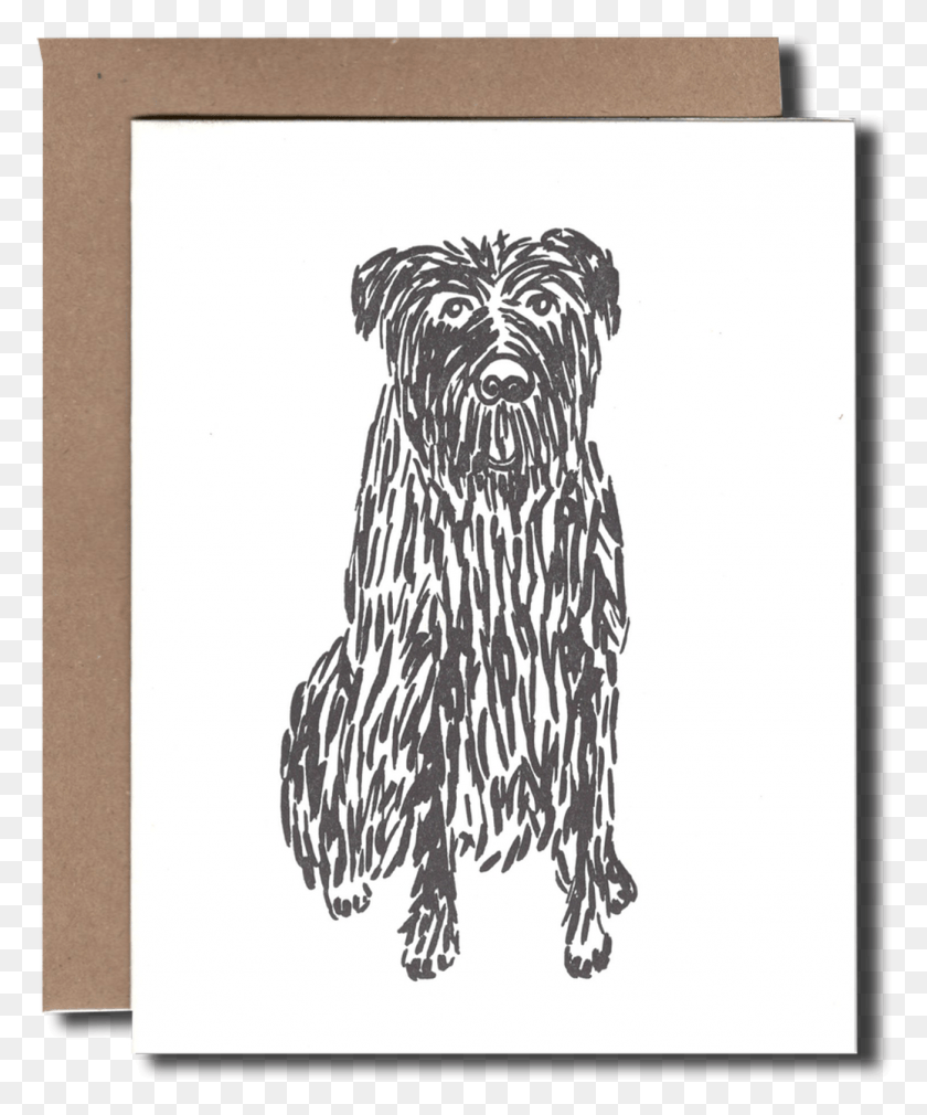 1036x1263 Yorkshire Terrier, Perro, Mascota, Canino Hd Png