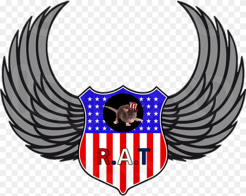 1105x880 You All Might Be Wondering Why Exactly Is There A Usa Shield, Emblem, Symbol, Logo, Flag Clipart PNG