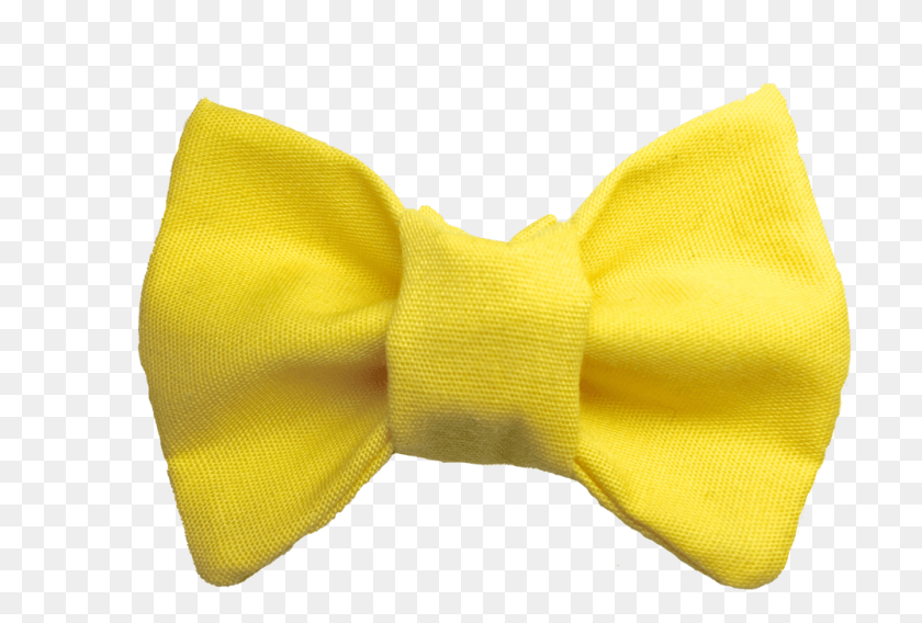 1001x652 You Are My Sunshine Cat Bow Tie, Glove, Clothing, Apparel HD PNG Download