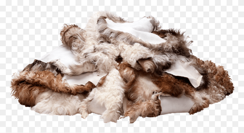 946x487 You Can Return Goods For Any Reason At Any Time Within Fur Clothing, Pillow, Cushion, Dog HD PNG Download
