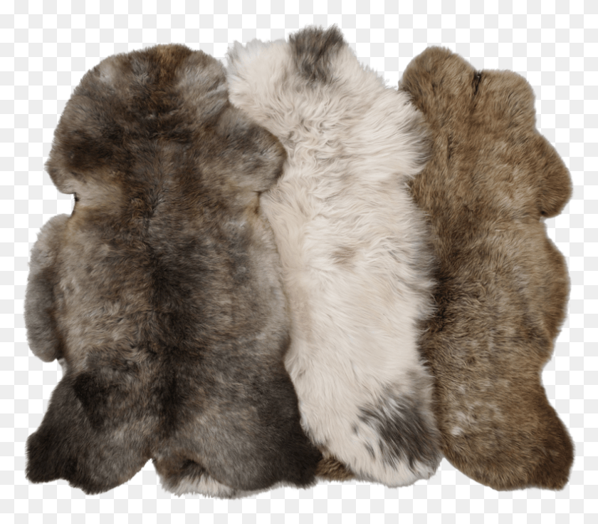 789x683 You Can Return Goods For Any Reason At Any Time Within Fur Clothing, Dog, Pet, Canine HD PNG Download