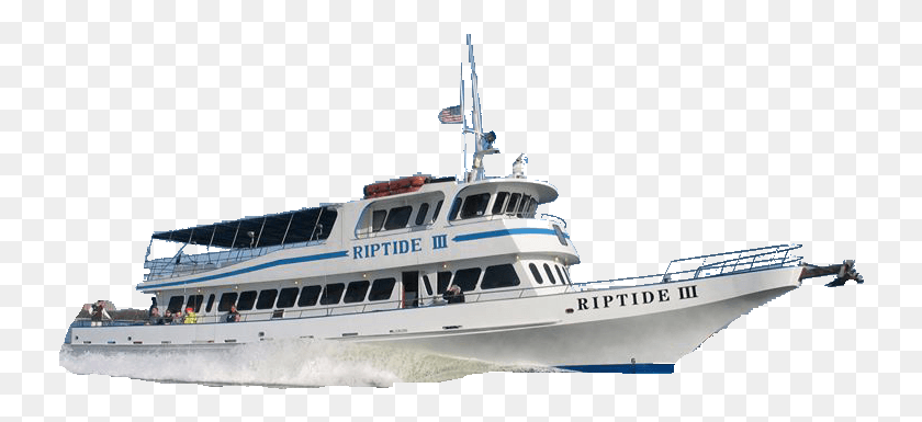 734x325 You Deserve Front Row Seats To The Biggest Fireworks Ferry, Boat, Vehicle, Transportation Descargar Hd Png