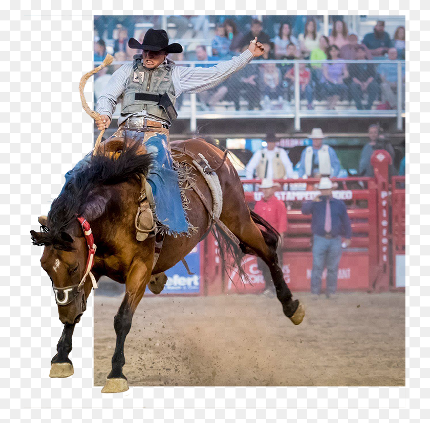 745x768 You Won39t Want To Miss This 3 Day Action Packed Event Mane, Horse, Mammal, Animal HD PNG Download