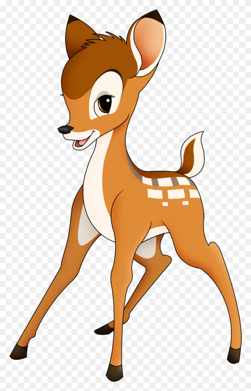 905x1448 Young Hunters Harvest Nearly 6000 Deer During Bambi The Deer, Mammal, Animal, Wildlife HD PNG Download