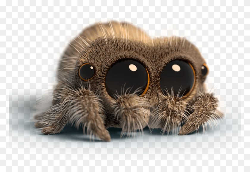 1200x800 Youtube Partners With Teespring To Help Creators Sell Cute Lucas The Spider, Animal, Bird, Invertebrate HD PNG Download