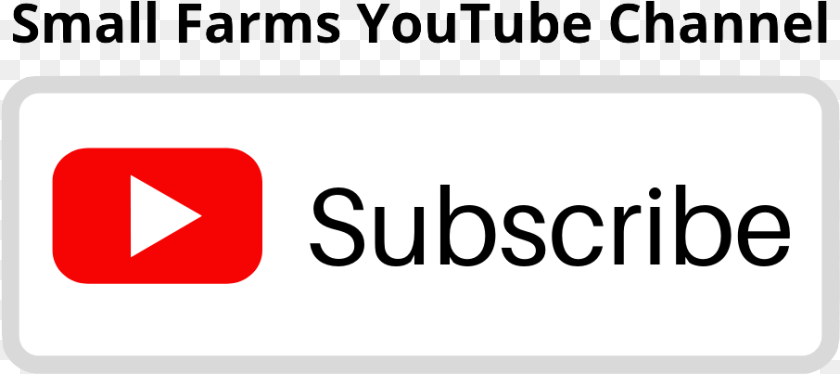 906x403 Youtube Subscribe Button Subscribe Button Youtube, First Aid, Text, Logo Transparent PNG