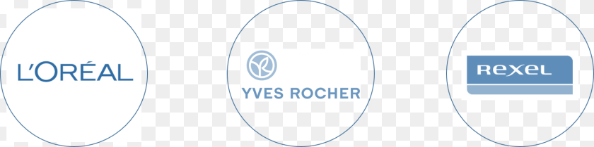 1563x389 Yves Rocher, Logo, Oval Transparent PNG