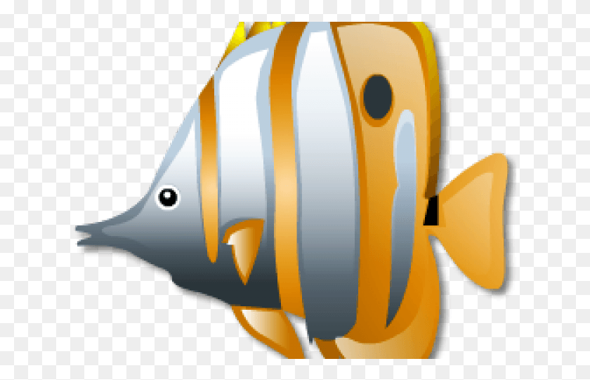 631x481 Zac Browser, Fish, Animal, Sea Life HD PNG Download