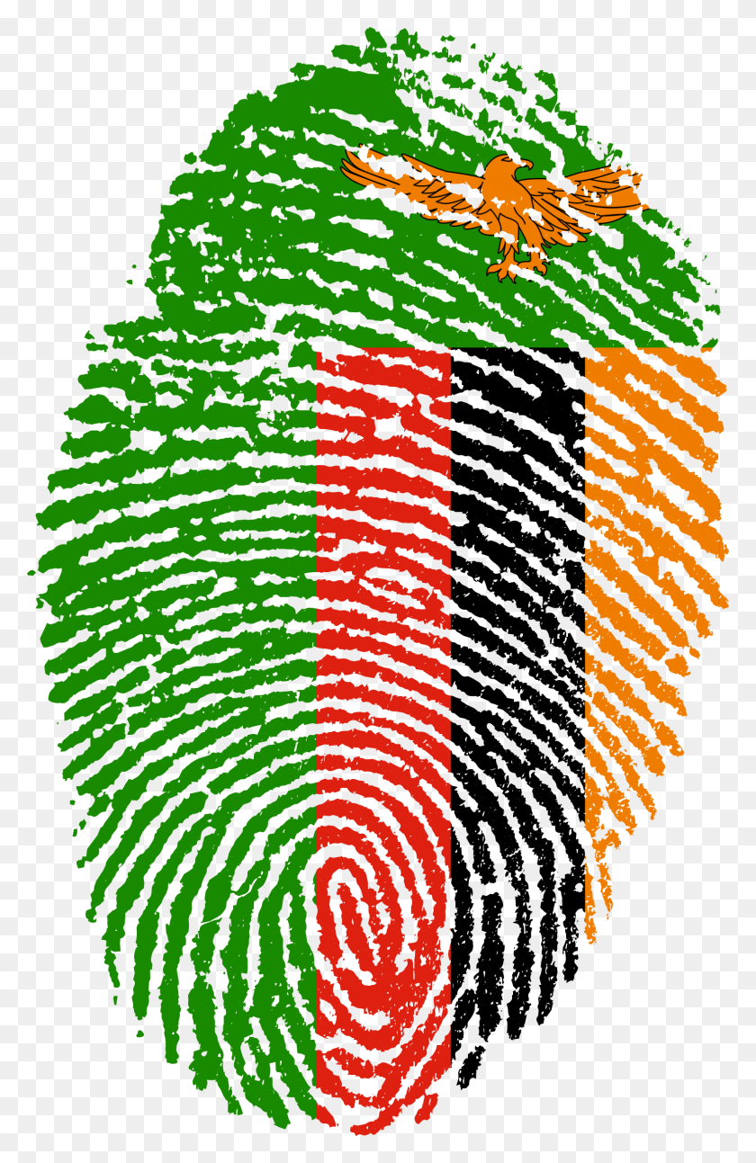 1573x2488 Флаг Замбии Отпечаток Пальца Страны 654172 Символы Национальной Идентичности Замбии, Число, Символ, Текст Hd Png Скачать