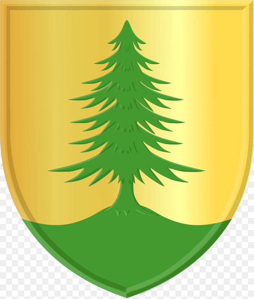 Zandbulten Wapen Clipart, Fir, Plant, Tree, Green Sticker PNG