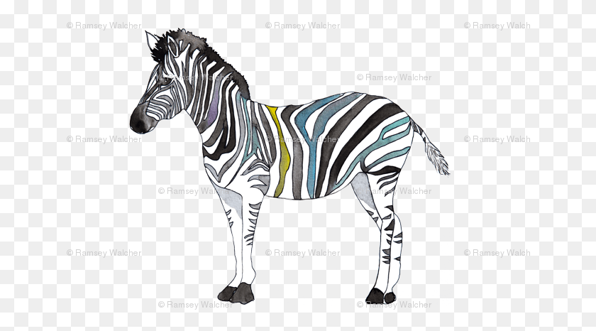 654x406 Zebra, Wildlife, Mammal, Animal HD PNG Download