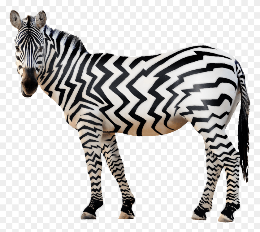 1420x1255 Zebra Free Zebra, Wildlife, Mammal, Animal HD PNG Download