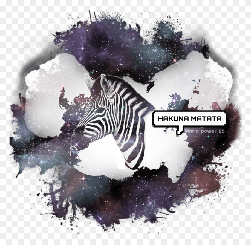901x878 Zebra Hakunamatata Sticker Watercolor Galaxy, Nature, Wildlife, Mammal HD PNG Download