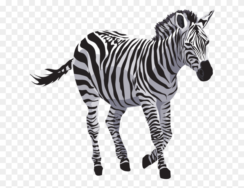 636x586 Zebra Image Free Zebra, Wildlife, Mammal, Animal HD PNG Download
