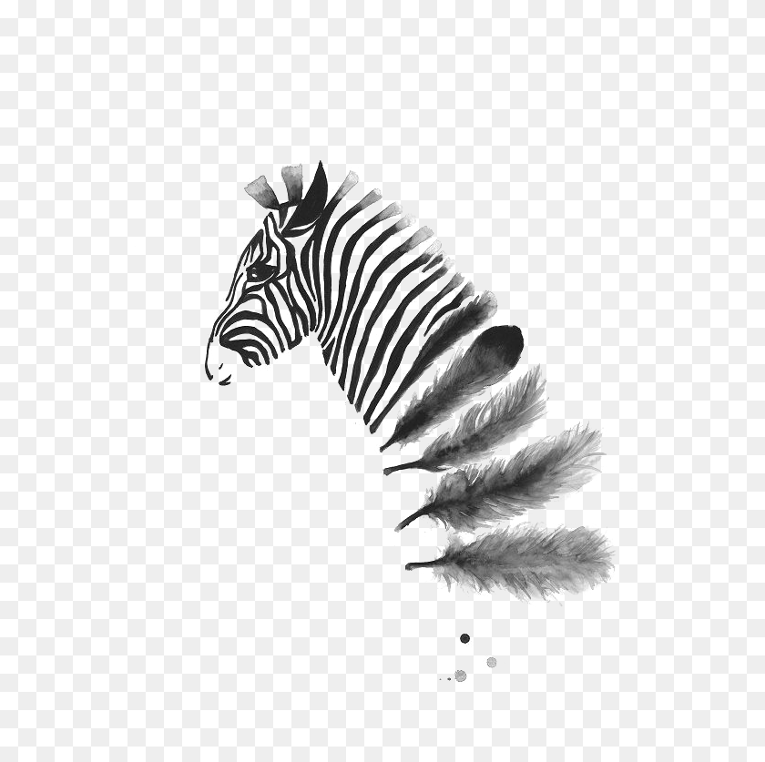 550x777 Zebra Ink Wash Into Feathers Pinned By Issy Wilson Black And White Zebra Art, Fractal, Pattern, Ornament HD PNG Download