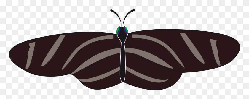 2120x750 Zebra Longwing Mariposa Insecto Papillon Perro Ilustración, Animal, Invertebrado, Patrón Hd Png Download