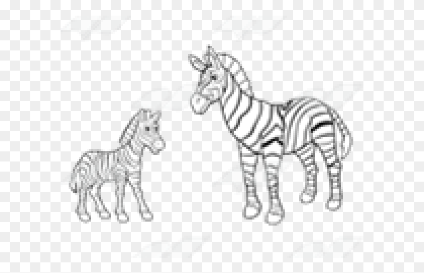 601x481 Zebra Mom And Baby Clipart, Wildlife, Mammal, Animal HD PNG Download