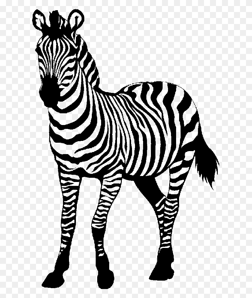 625x934 Zebra Pic Zebra Clip Art, Mammal, Animal, Wildlife HD PNG Download