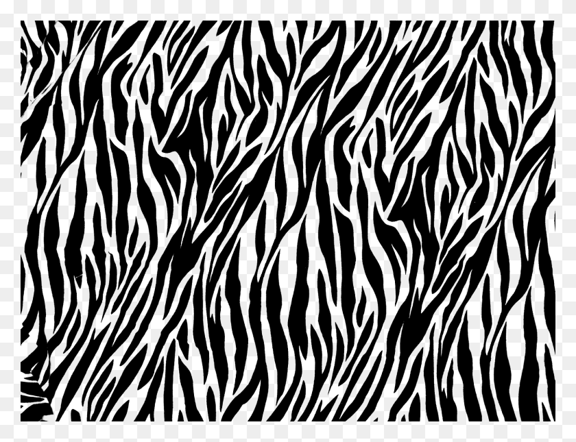 1600x1200 Zebra Print Image Background Black And White Zebra Color, Wildlife, Mammal, Animal HD PNG Download
