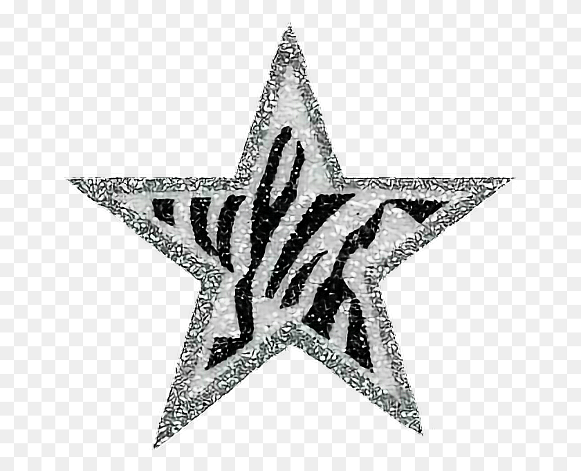 660x620 Zebra Silver Glitter Star Stars, Symbol, Star Symbol HD PNG Download
